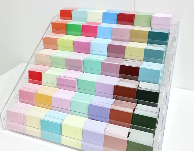 Vivid Hue Personal Color & Body Type Analysis