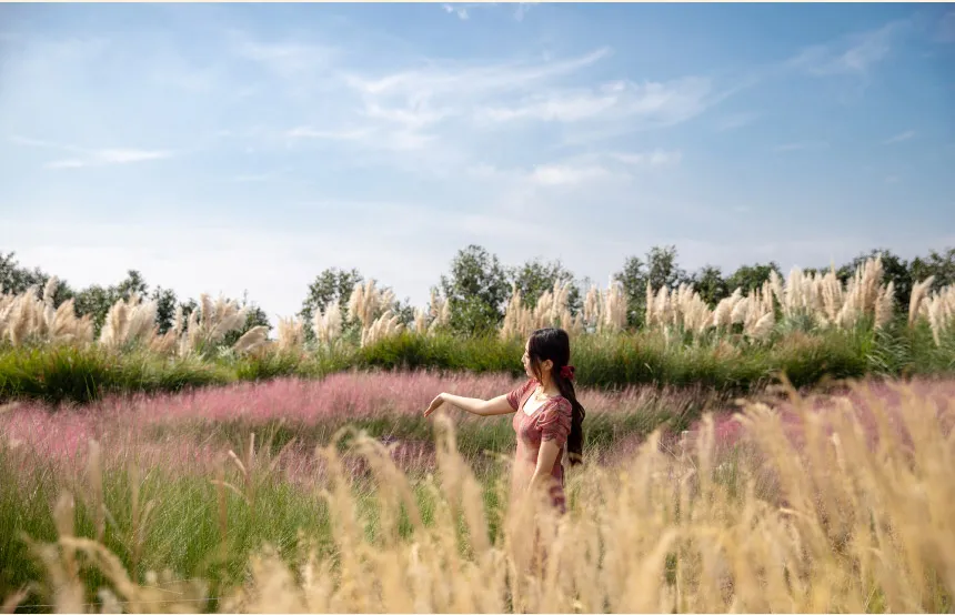 [Jeju] Camellia Hill