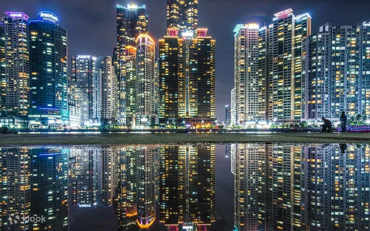[20% Discount] Haeundae Sky Capsule & Busan Night View Tour