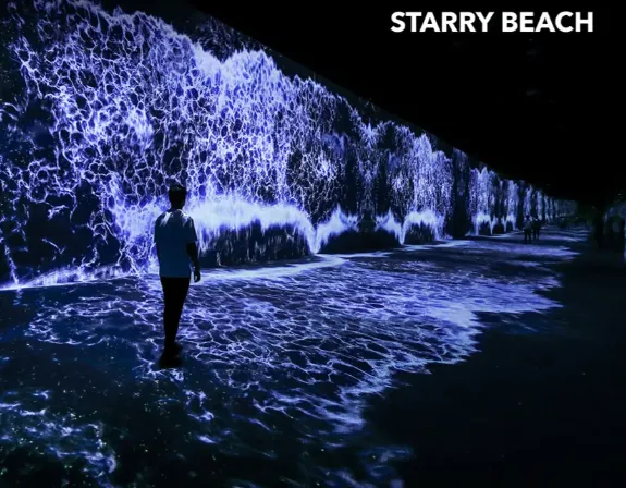 Busan Arte Museum Admission Ticket