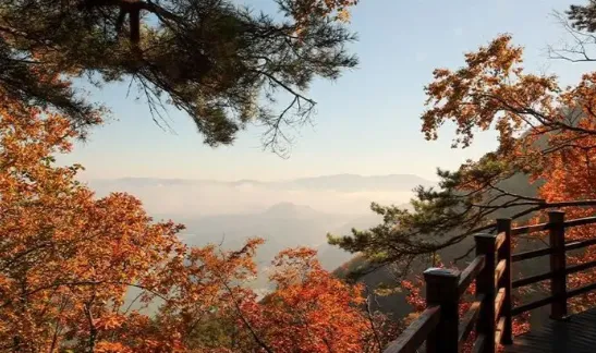 Gangwon Chuncheon Samgaksan Lake Cable Car Admission Ticket