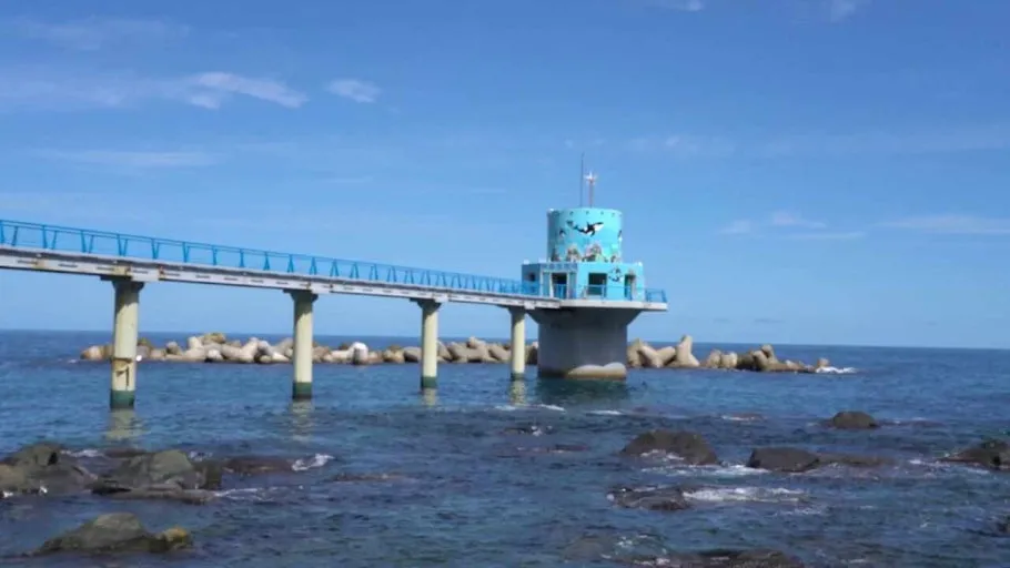 Ulleung Island Tour Pass (Admission to major tourist attractions & public bus passes)