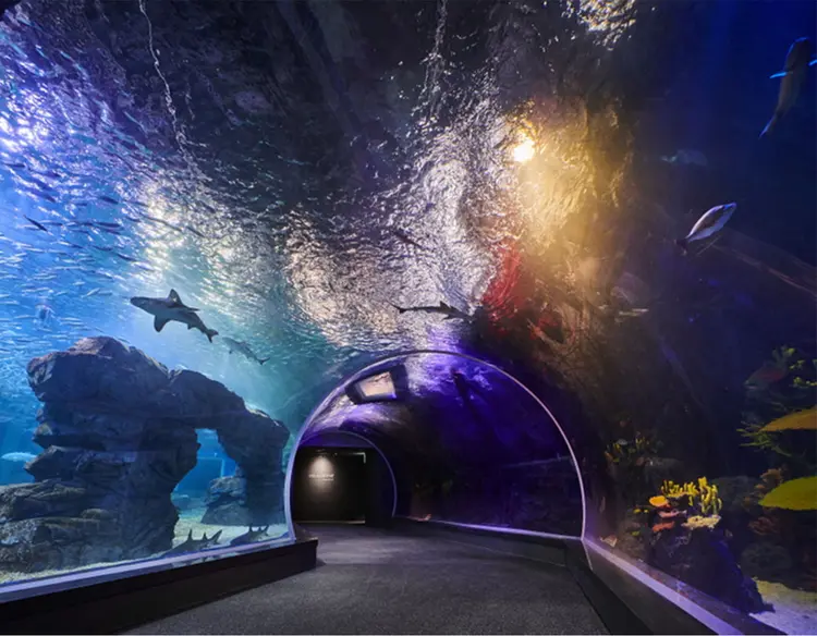 Aqua Planet Gwanggyo admission ticket