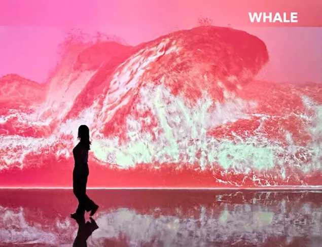 Busan Arte Museum Admission Ticket