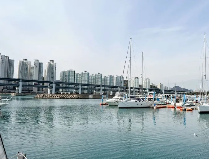 Busan Haeundae Yacht Boat Tour