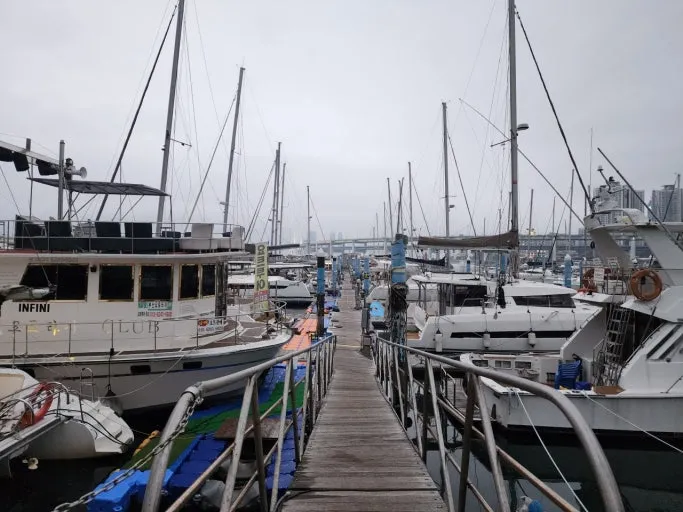 Busan Premium Yacht Tour (Pets Allowed)