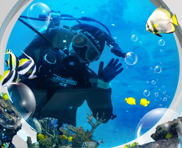 [Jeju] Udo Submarine