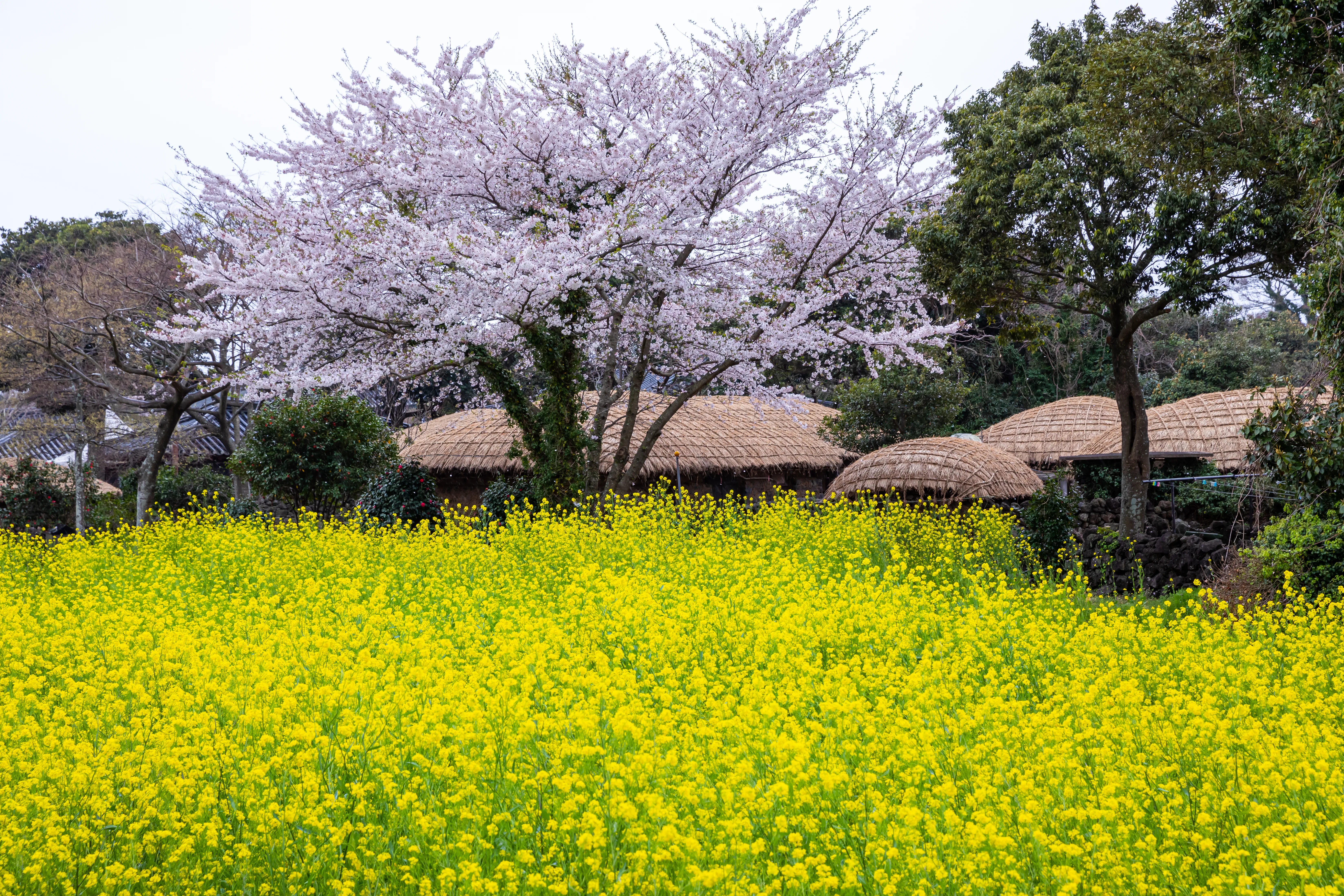 [Jeju] Jeju Folk Village