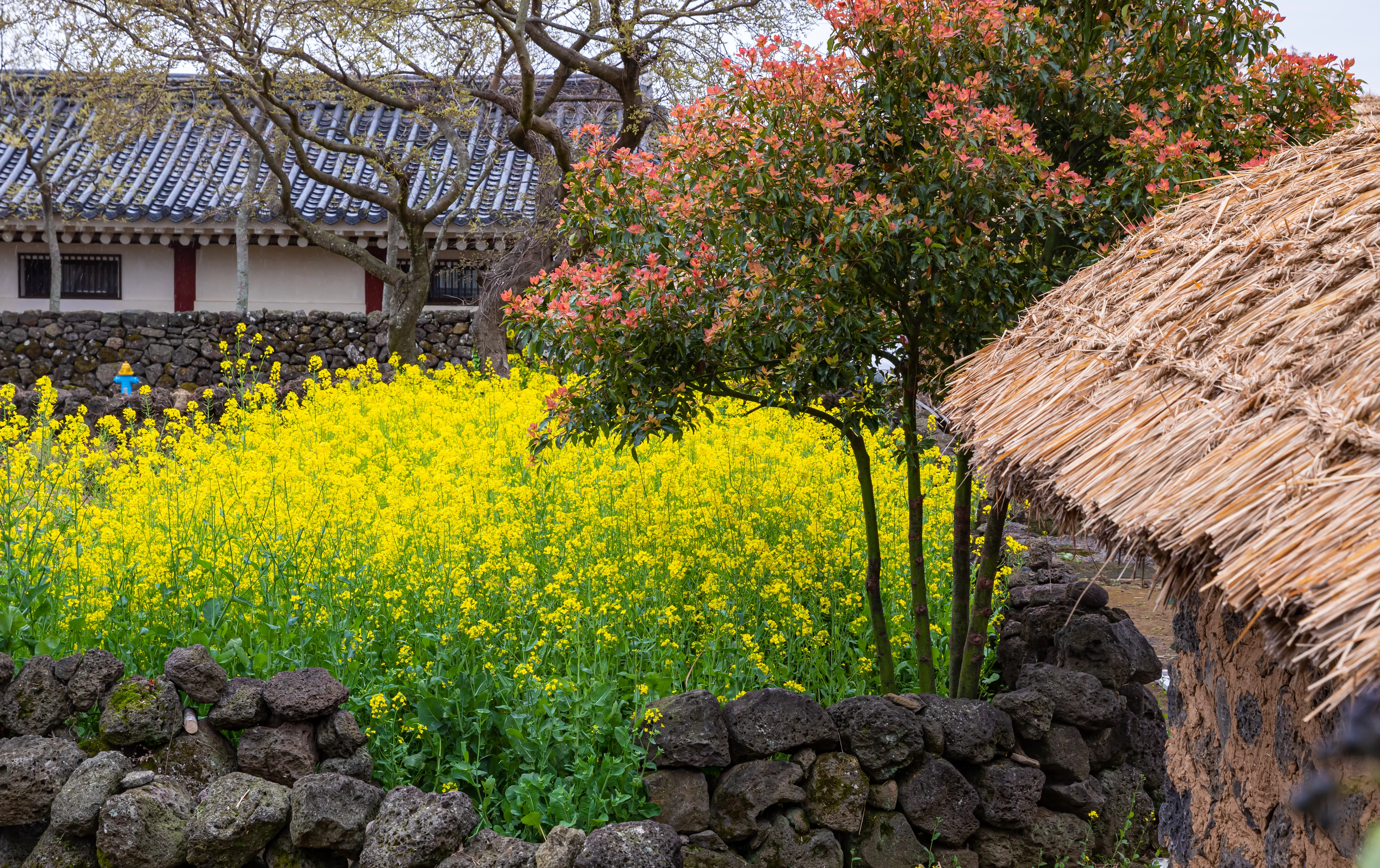 [Jeju] Jeju Folk Village