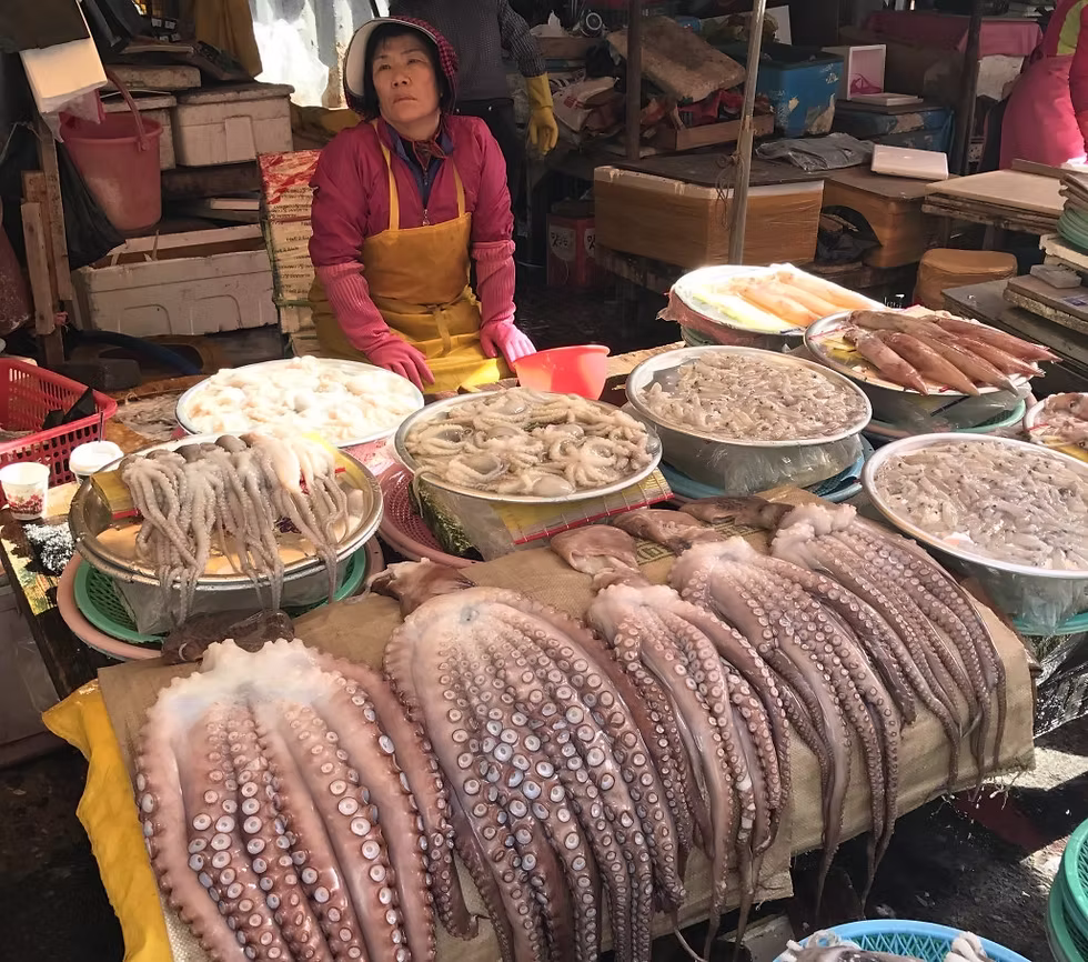 Jagalchi Fish Market – Korea’s Largest Seafood Market
