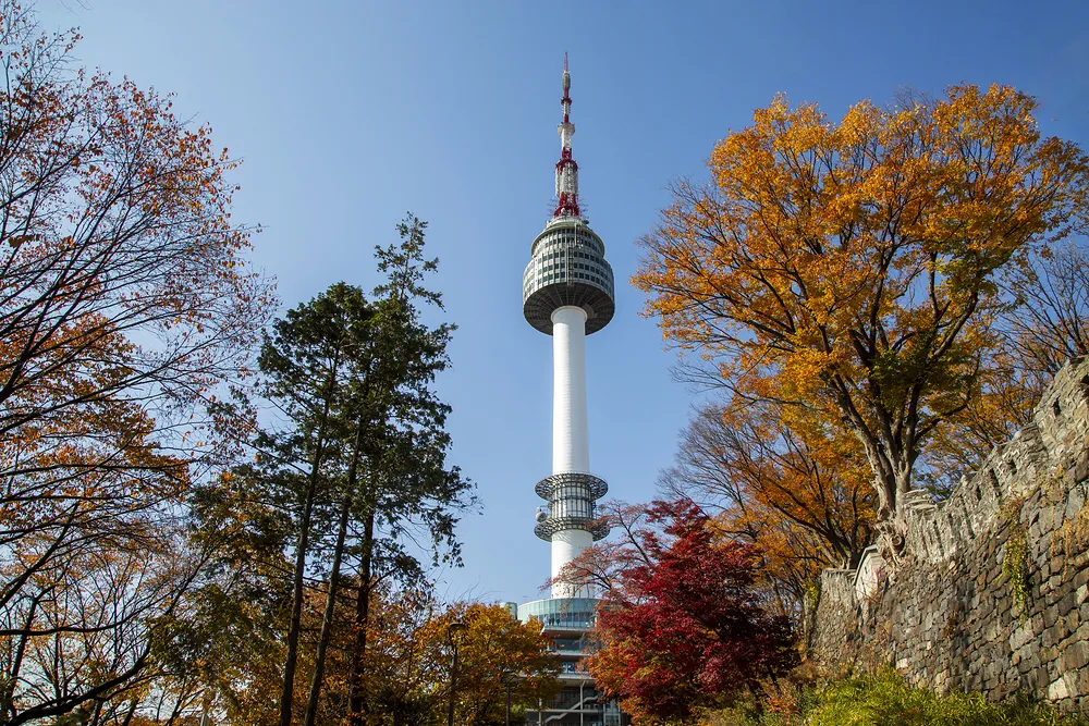 N Seoul Tower Observatory Admission Ticket ✨