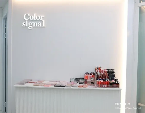 Professional K-Beauty Makeup, Hair & Makeup LessonㅣColor Signal