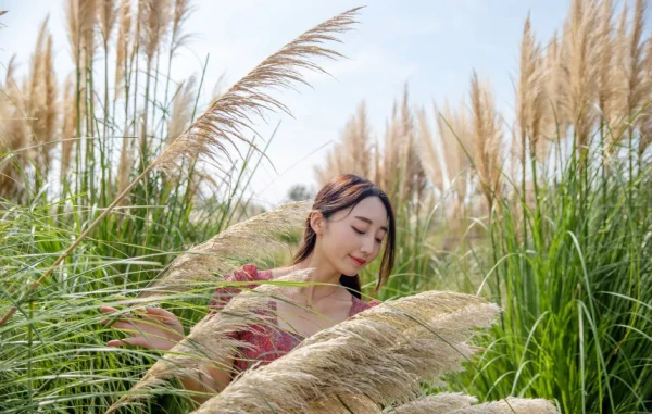 [Jeju] Camellia Hill