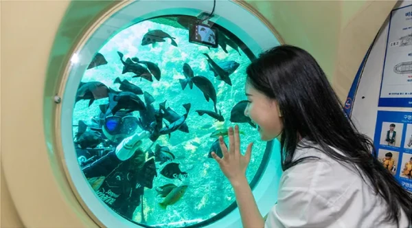 [Jeju] Seogwipo Submarine