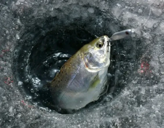 2026 Hwacheon Sancheoneo Ice FestivalㅣSeoul Departure