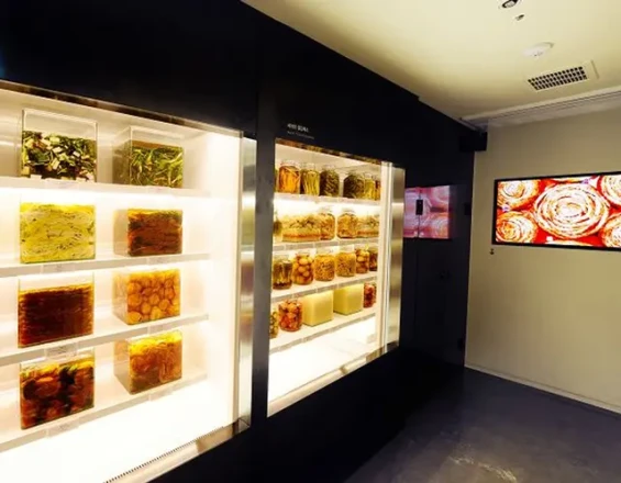 Museum Kimchikan Admission Ticket