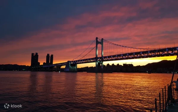 Busan Premium Yacht Tour (Pets Allowed)