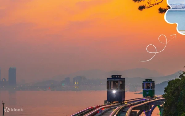 [20% Discount] Haeundae Sky Capsule & Busan Night View Tour