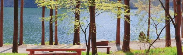 Nami Island Admission Ticket (QR Code Direct Entry)