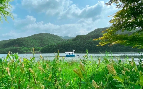 Nami Island Admission Ticket (QR Code Direct Entry)
