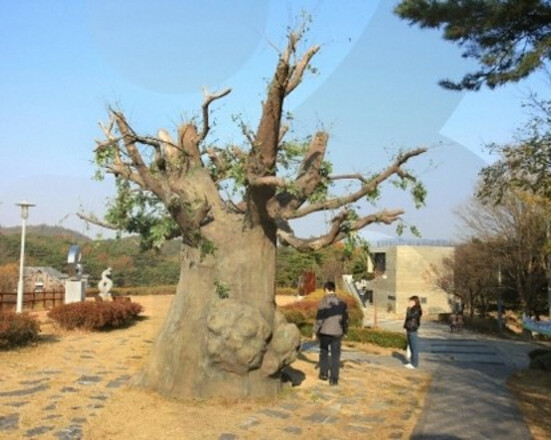 Foreigners Seoul/Chungcheong (2 Days 1 Night) - Yedangho Sculpture Park, Eogwaneopjeong Park, Yedangho Sunset Viewing, Gyeongbokgung Palace, Myeongdong