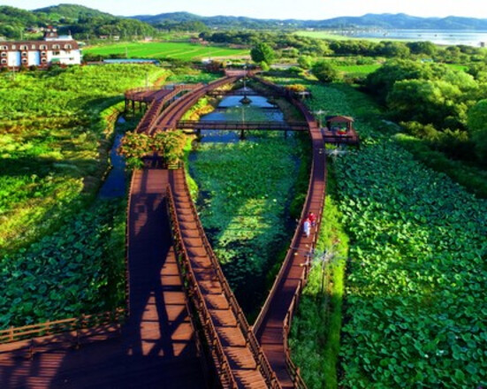 Foreigners Seoul/Chungcheong (2 Days 1 Night) - Yedangho Sculpture Park, Eogwaneopjeong Park, Yedangho Sunset Viewing, Gyeongbokgung Palace, Myeongdong