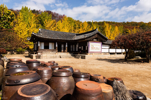 YonginKoreanFolkVillage+HanRiverNightMusicCruiseonedaytour-KlookSingapore.jpg
