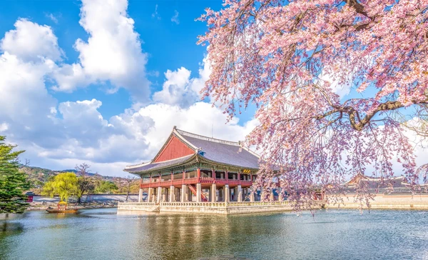 Gyeongbokgung & Changdeokgung – A Journey Into Korea’s Royal Heritage