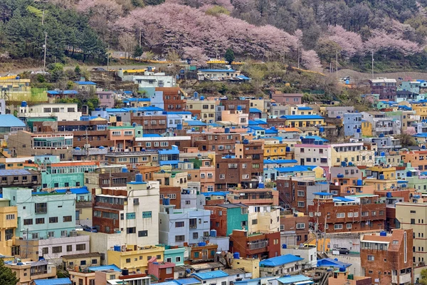 Gamcheon Culture Village – Busan’s Colorful Art Village