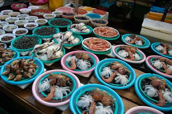 Jagalchi Fish Market – Korea’s Largest Seafood Market