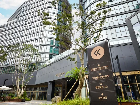 Gangnam Wellness Medical Center