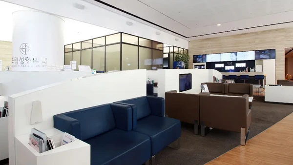 Dream Plastic Surgery