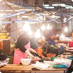 [Creatrip Only] 2025 Changdeokgung Moonlight Tour | Foreigners Only