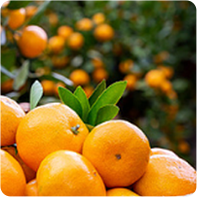 [Creatrip Only] 2025 Changdeokgung Moonlight Tour | Foreigners Only