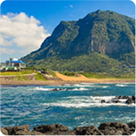 [Creatrip Only] 2025 Changdeokgung Moonlight Tour | Foreigners Only