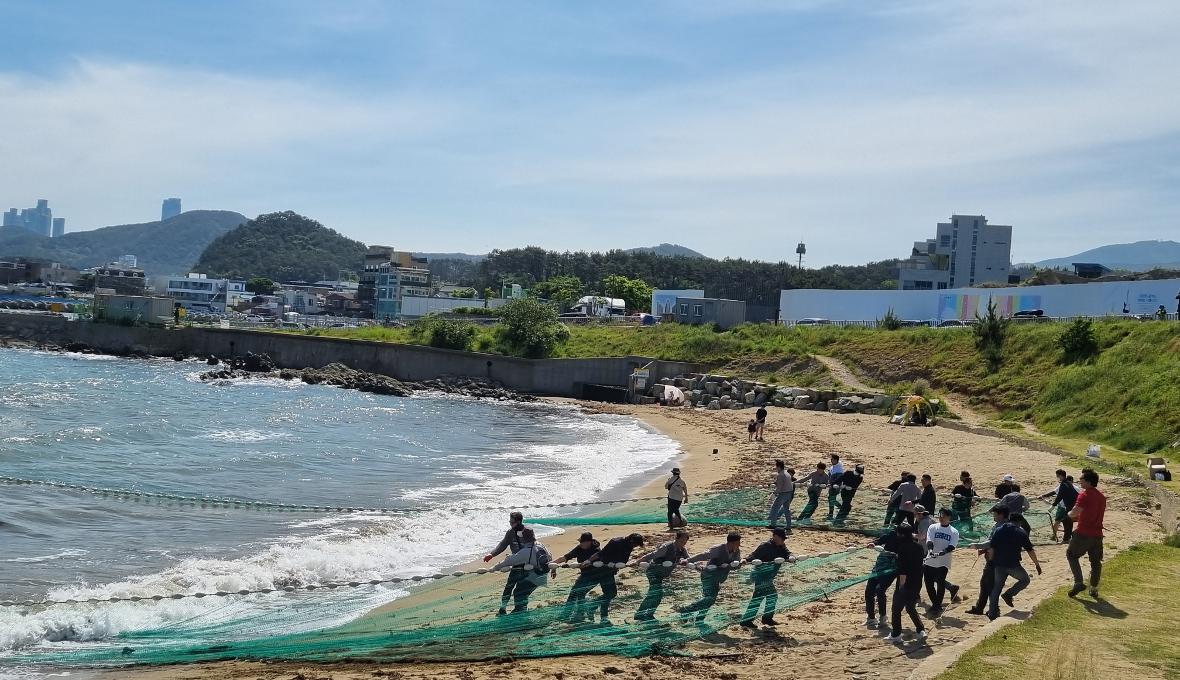 Busan Seven Bridges Day TourㅣBusan Departure