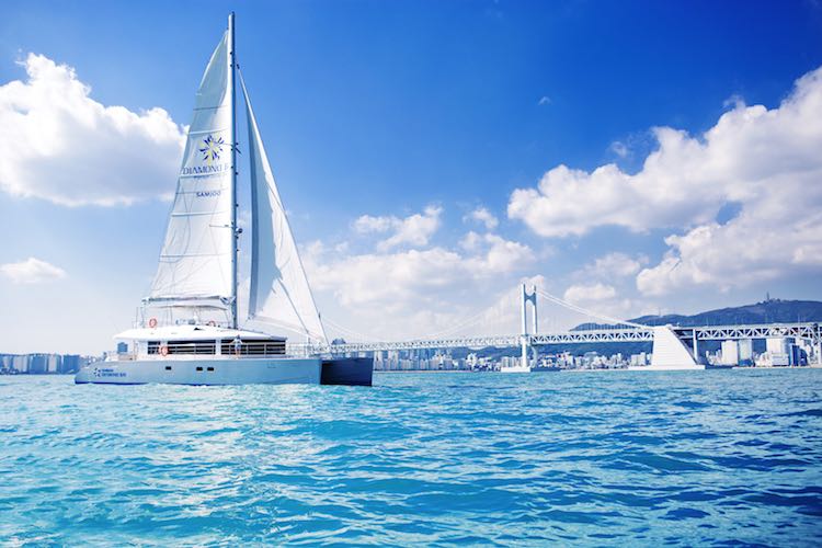 Busan Seven Bridges Day TourㅣBusan Departure