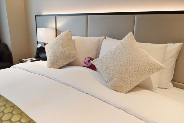 Superior Suite + Breakfast for 2